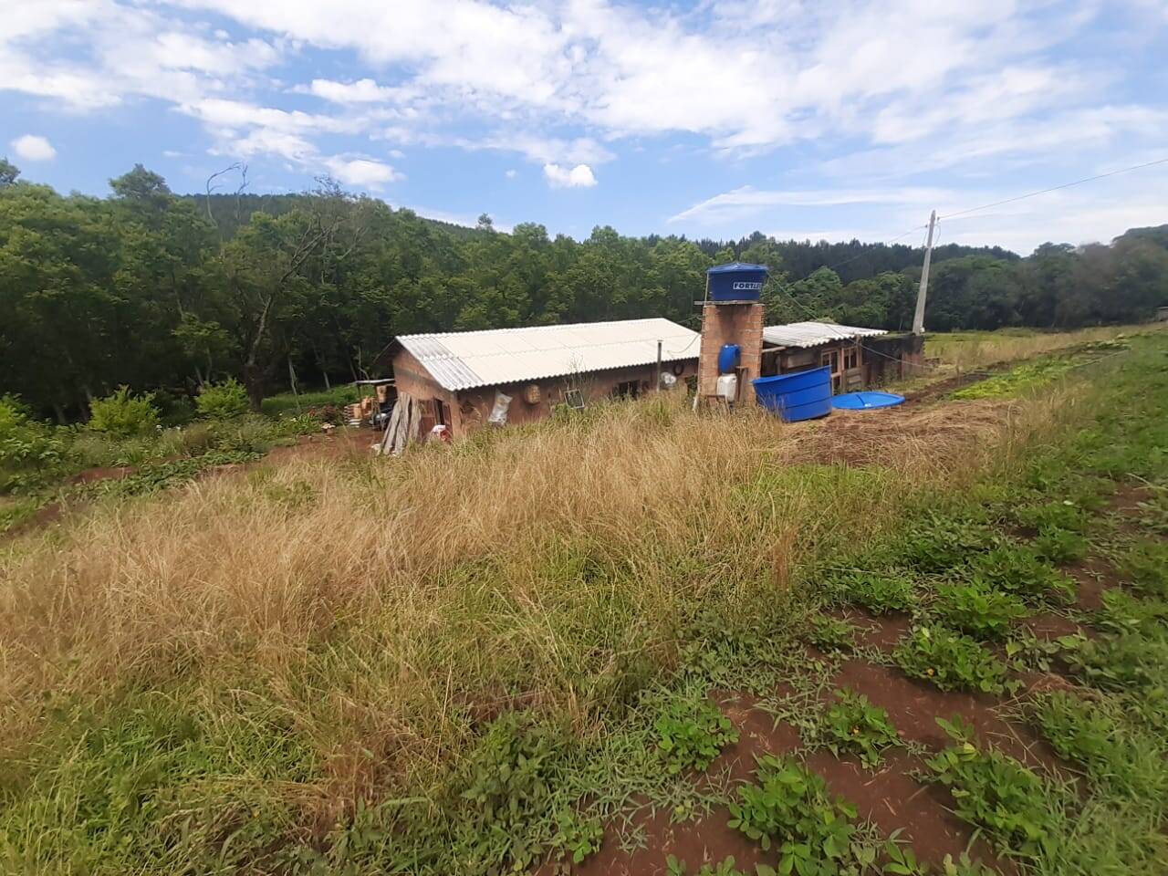 #438 - Sítio para Venda em Ipuaçu - SC