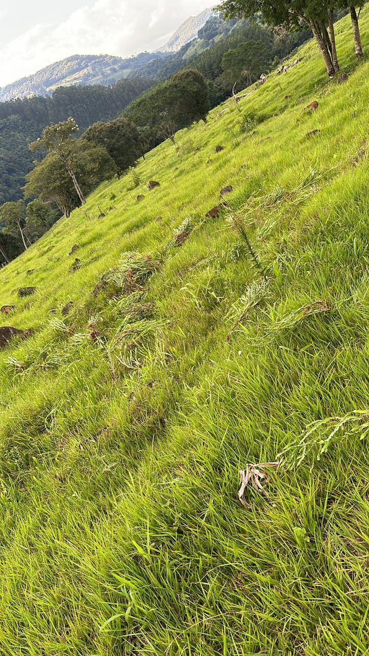 #607 - Fazenda para Venda em Xanxerê - SC