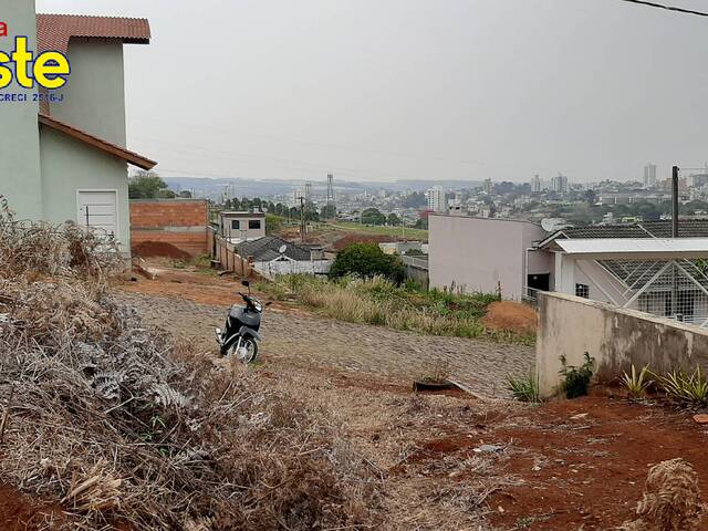 #331 - Terreno para Venda em Xanxerê - SC - 1