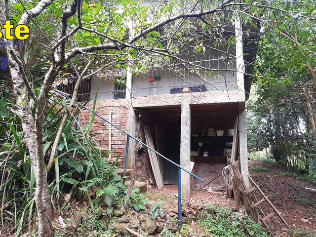 #434 - Sítio para Venda em Xanxerê - SC - 3