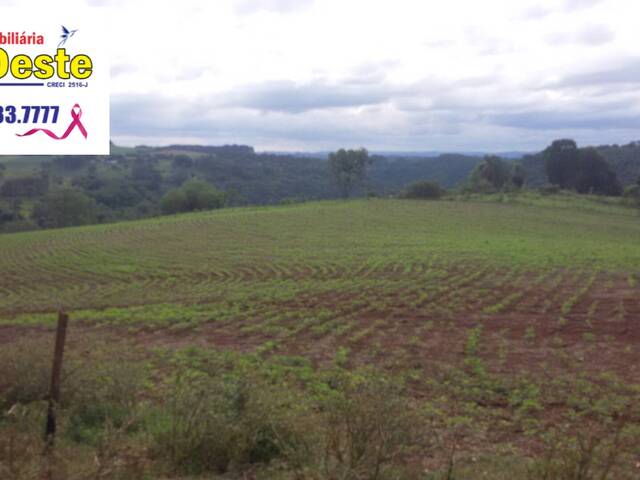 #472 - Fazenda para Venda em Xanxerê - SC