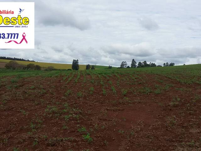 #472 - Fazenda para Venda em Xanxerê - SC