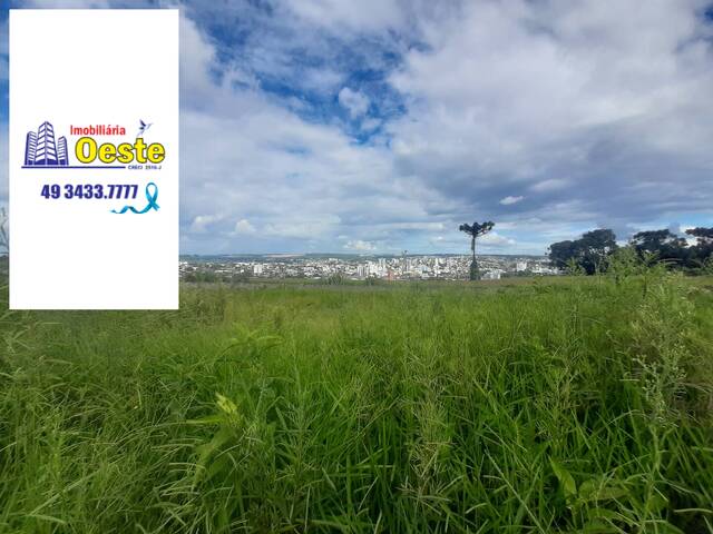 Terreno para Venda em Xanxerê - 4