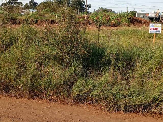 #510 - Terreno para Venda em Xanxerê - SC - 1