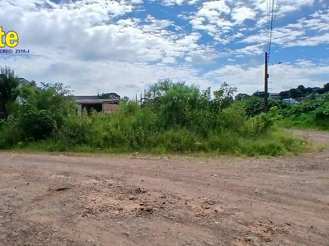 #564 - Terreno para Venda em Xanxerê - SC - 1