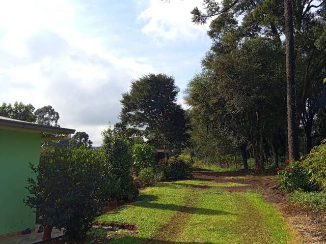 #604 - Chácara para Venda em Ouro Verde - SC - 2