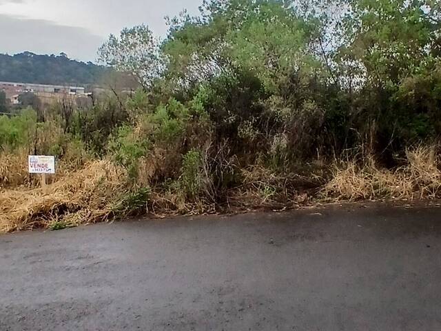 #611 - Terreno para Venda em Xanxerê - SC - 1