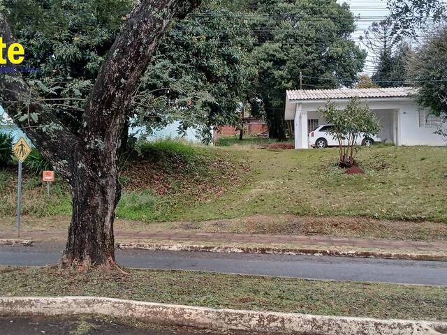 #616 - Casa para Venda em Xanxerê - SC - 3