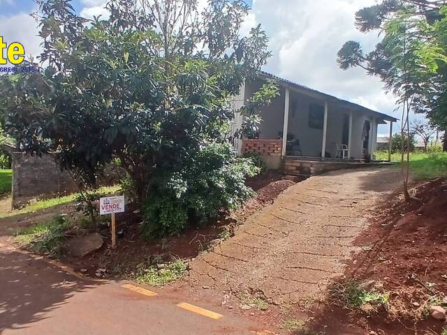 Venda em São Pedro - Xanxerê