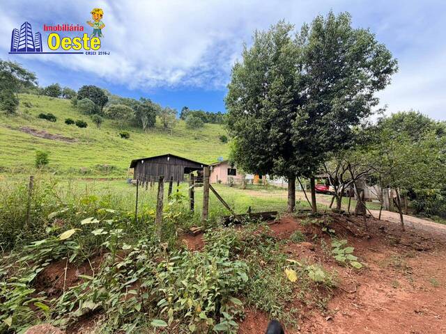 #658 - Chácara para Venda em Xanxerê - SC - 3