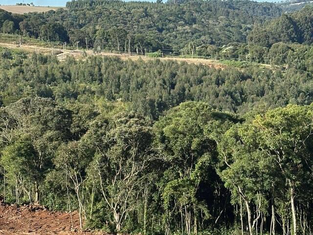 Terreno para Venda em Xanxerê - 4